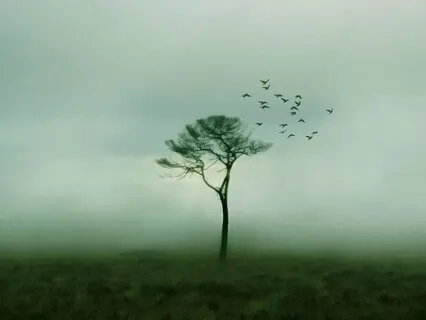 You Can Be Free & Happy Right Now, Regardless