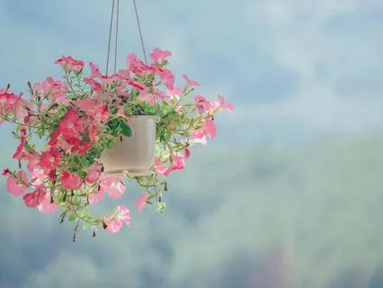 You Can Begin Again At Any Age—Here’s How To Start