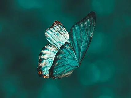 You Can Change Your Life