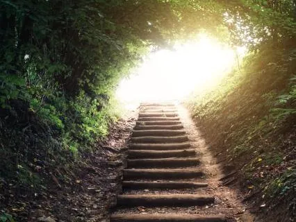 You Can Do Anything Day By Day, Step By Step