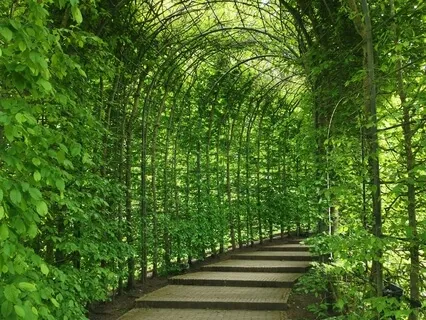 You Can Heal Your Life - Deeply Guided Meditation