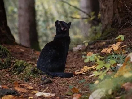 You Can Not Get It Wrong: Meditation For Trusting Your Path