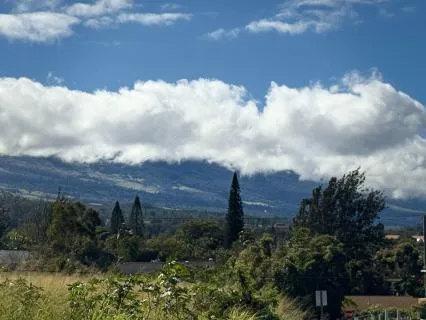 You Can't Fake Real, The Danger Of AI