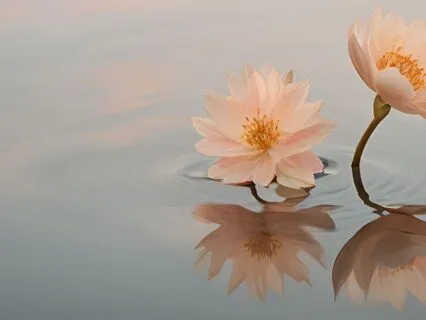 You Can't Make Awakening Happen