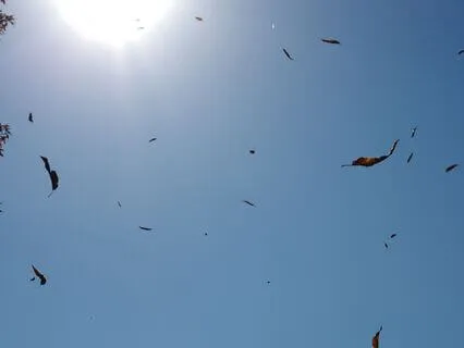 You Can’t Stop This Moment