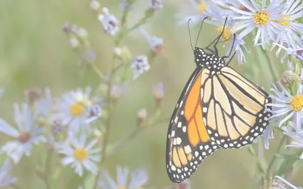 You Cannot Argue With A Drunk Person