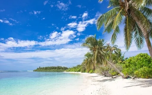 You Cannot Do Wrong, Everything Is OK Guided Visualization