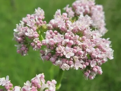 You Can't Love Yourself!