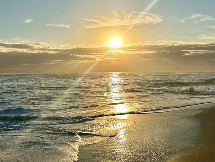 You Chose To Be Here