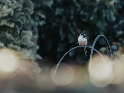 You Create Your Reality Soul Letter No. 4