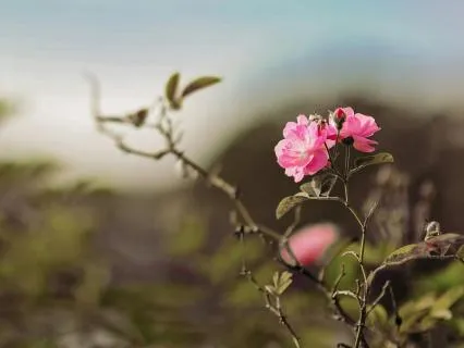 You Deserve The Best