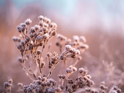 You Deserve The Intentions Of Your Heart 