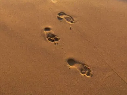 You Do Not Need To Be Fixed