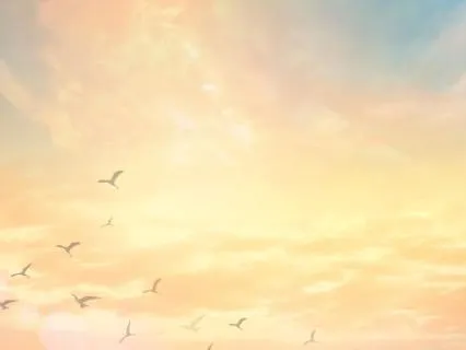 You Don't Have To Carry This Alone