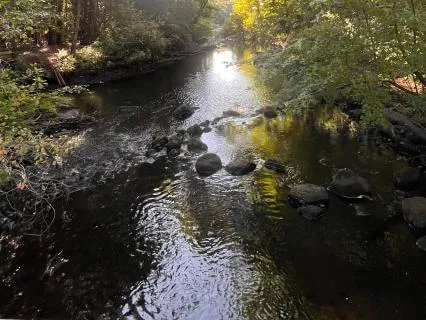 You Don’t Have To Explain Your Boundaries