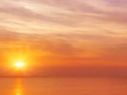 You Don't Have To Hold It All