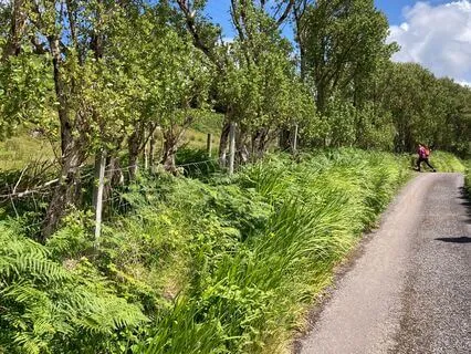 You Don't Need To Do It All: Rightsizing Your Responsibility