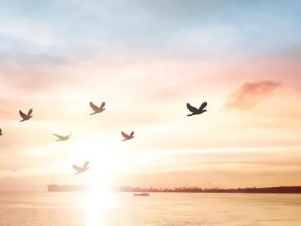 You Don't Really Matter (and Why It’s Pure Freedom)