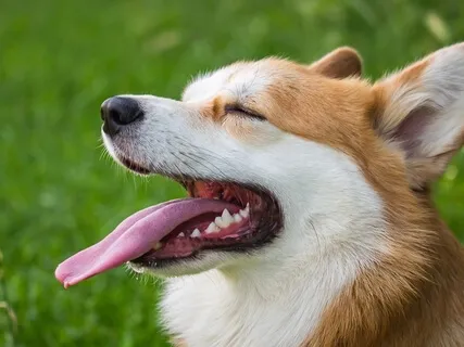 You Don't Choose Your Thoughts