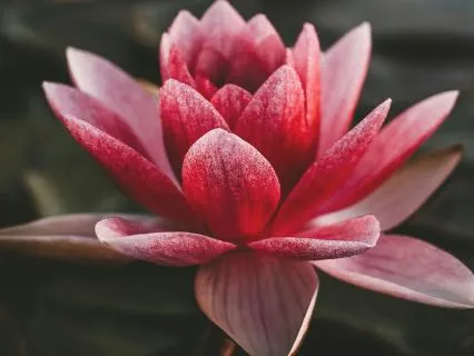 You Have A Loving Inner Voice, Listen