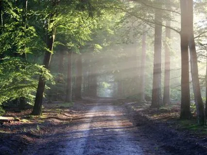 You Have A Place Here