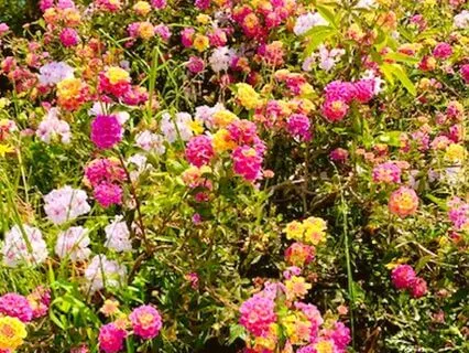 You Have A Right To Feel Good