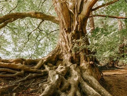 You Have All The Answers Within You Now