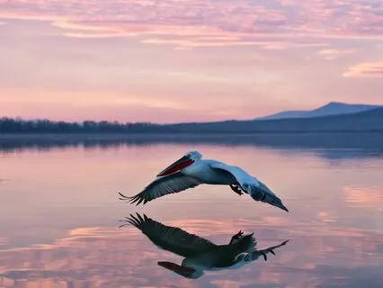 You Have Come So Far Already!