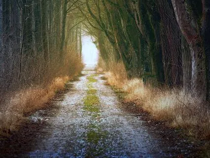 You Have The Ability To Heal Your Body