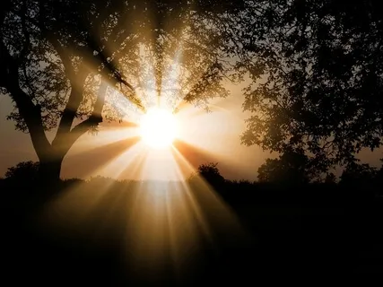 You Have The Light Inside