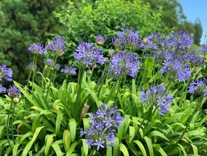 You Have To Do The Work!