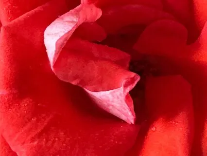 You Have What it Takes