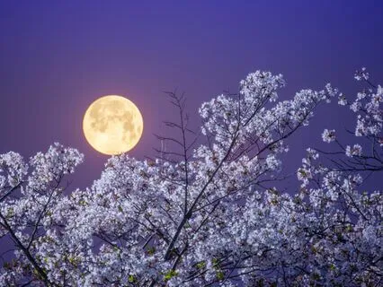 Your Higher Self Loves You Sleep Meditation