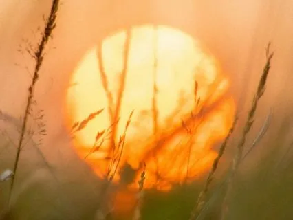 You Life Is A Miracle