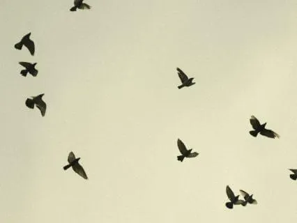 You’ll Know When You’re Ready To Let Go