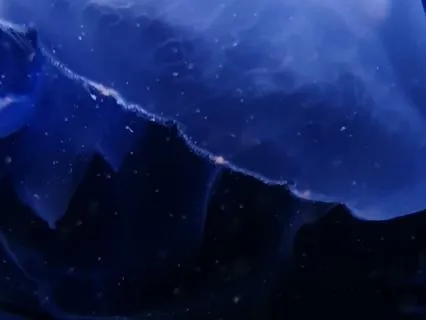 Deep Sleep Music Under The Ocean 8D (EMDR-Inspired)