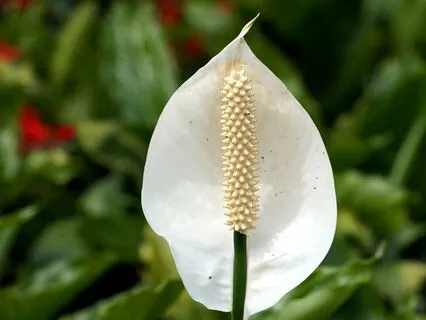 You're Not Alone - Support For Challenging Times