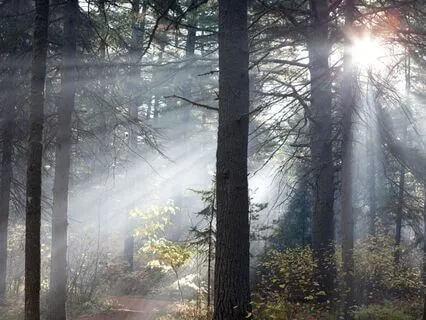 You're Not Broken, You're Healing