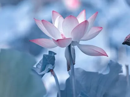 You’re Not Broken, You’re Just Waiting