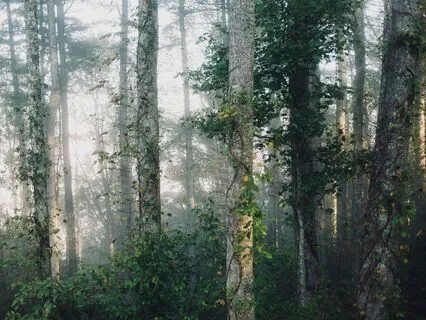 You’re The Leader Of Your Life