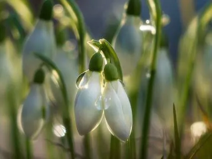 You’re The Miracle You Seek