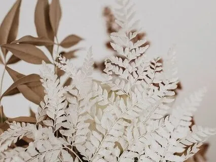 You Receive The Guidance That You Need For The Next Step - Not The Whole Journey