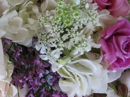 優しい呼吸の瞑想 (Affectionate Breathing)