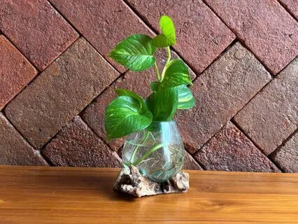 You Spot It, You Got It.