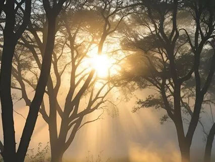 You're Not Alone: A Meditation For Pain And Loneliness