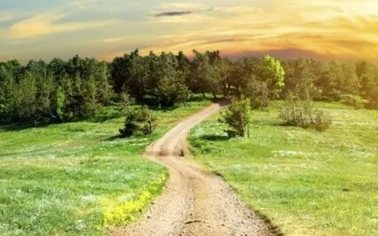 You Take A Step & The Ground Appears By Hakim