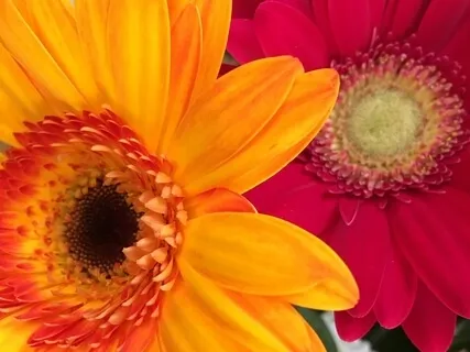 You Truly Are Worthy!