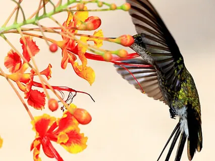 You Want To Hope For Something Better Than What You Have