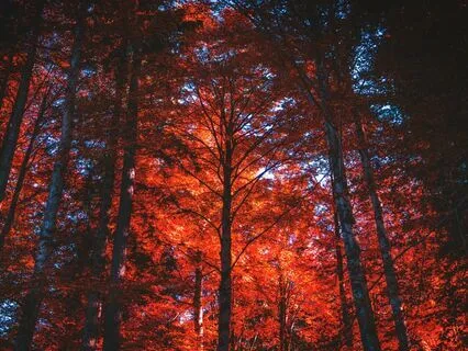 You Were Born To Be Rich