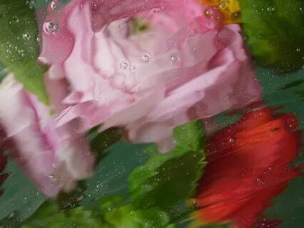 You Will Be Ok, A Meditation For Reassurance